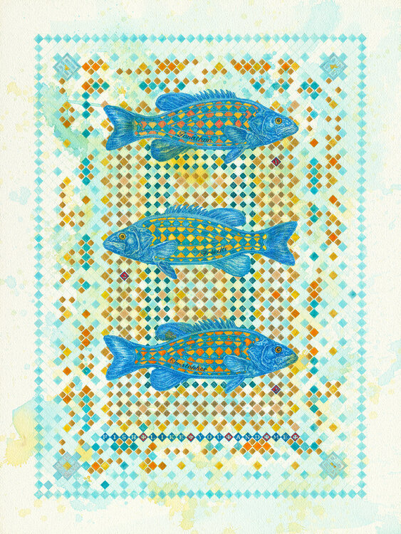 Fish Like You And Me GICLÈE PRINT Dobri Gjurkov