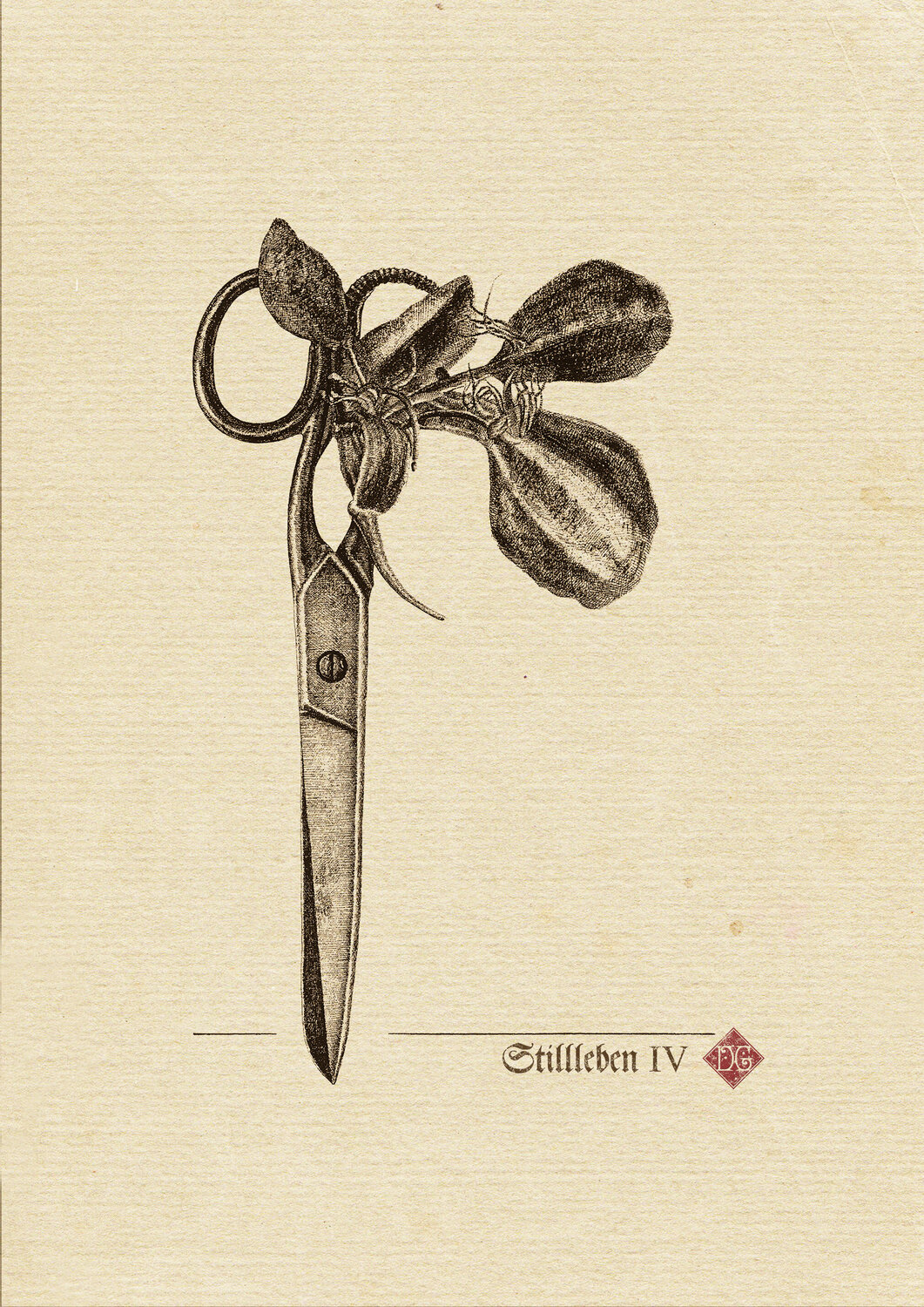 Still Life_A4_4_sepia Dobri Gjurkov