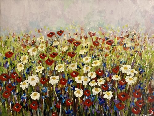 Papaveri e margherite by Cesare Papiccio, Painting for Sale on Singulart