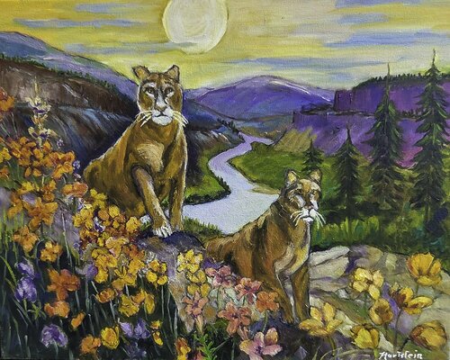 A Glimpse Of The Wild Michael Hartstein