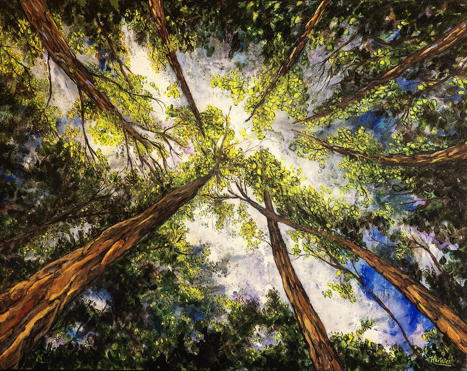 Looking Skyward Michael Hartstein