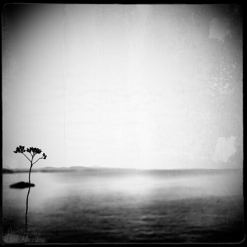 Les paradis perdus - l'invitation au voyage di Nerval, Fotografia in vendita su Singulart