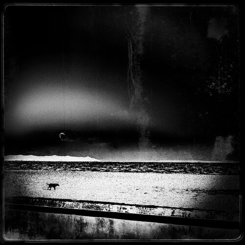 Les paradis perdus - Long way home by Nerval, Photography for Sale on Singulart