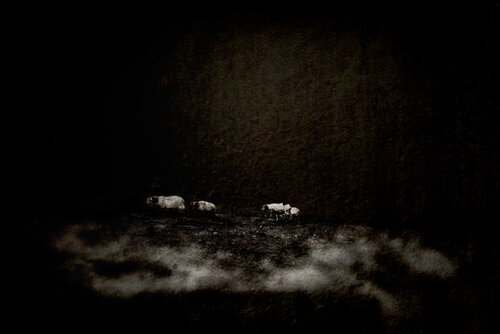 The Sound of Silence #3 von Nerval, Fotografie kaufen auf Singulart