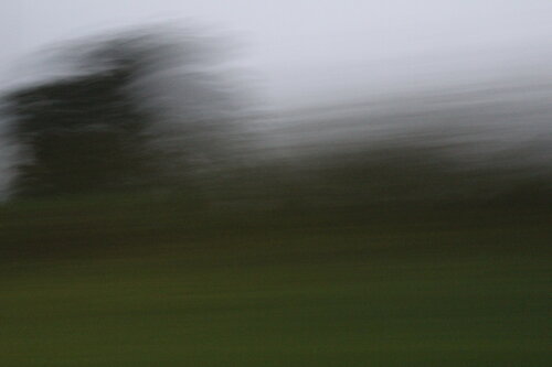 Amanhecer no Sertão Brasileiro 6 van Maristela Ribeiro, Fotografie te koop op Singulart