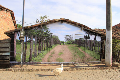 A casa de dona Luiza Maristela Ribeiro