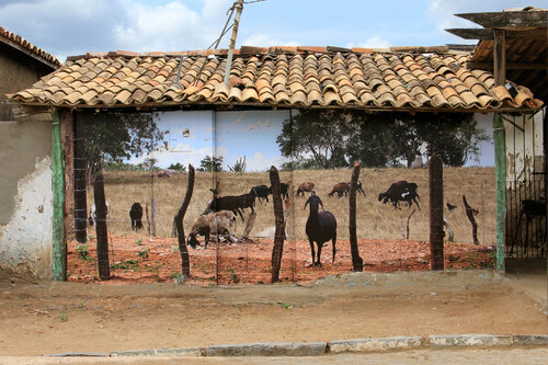 A Casa de Nuna von Maristela Ribeiro, Fotografie kaufen auf Singulart