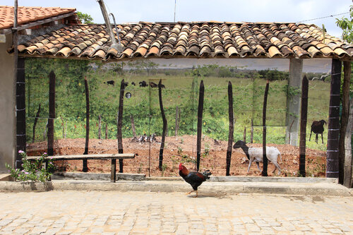 A Casa de dona Piche von Maristela Ribeiro, Fotografie kaufen auf Singulart