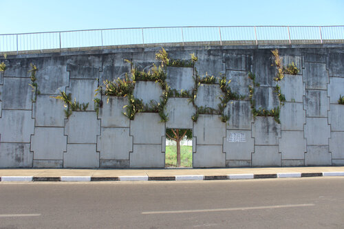 A Árvore: um poema visual by Maristela Ribeiro, 사진 for Sale on Singulart