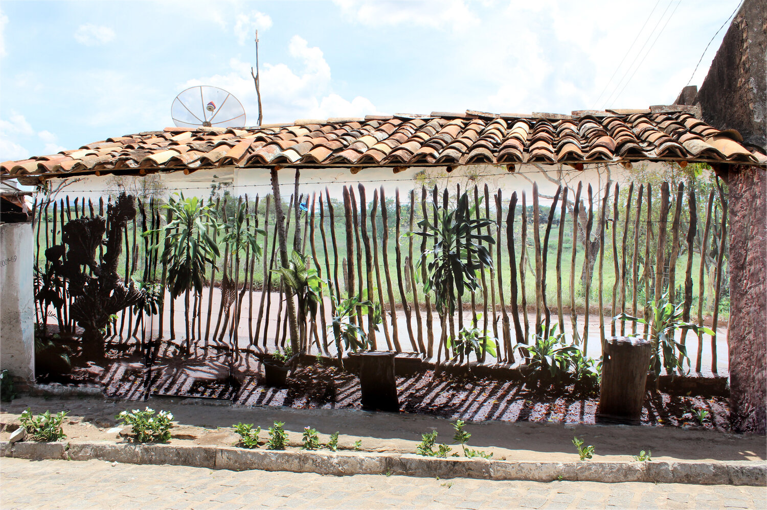 O Bar de Chico Maristela Ribeiro