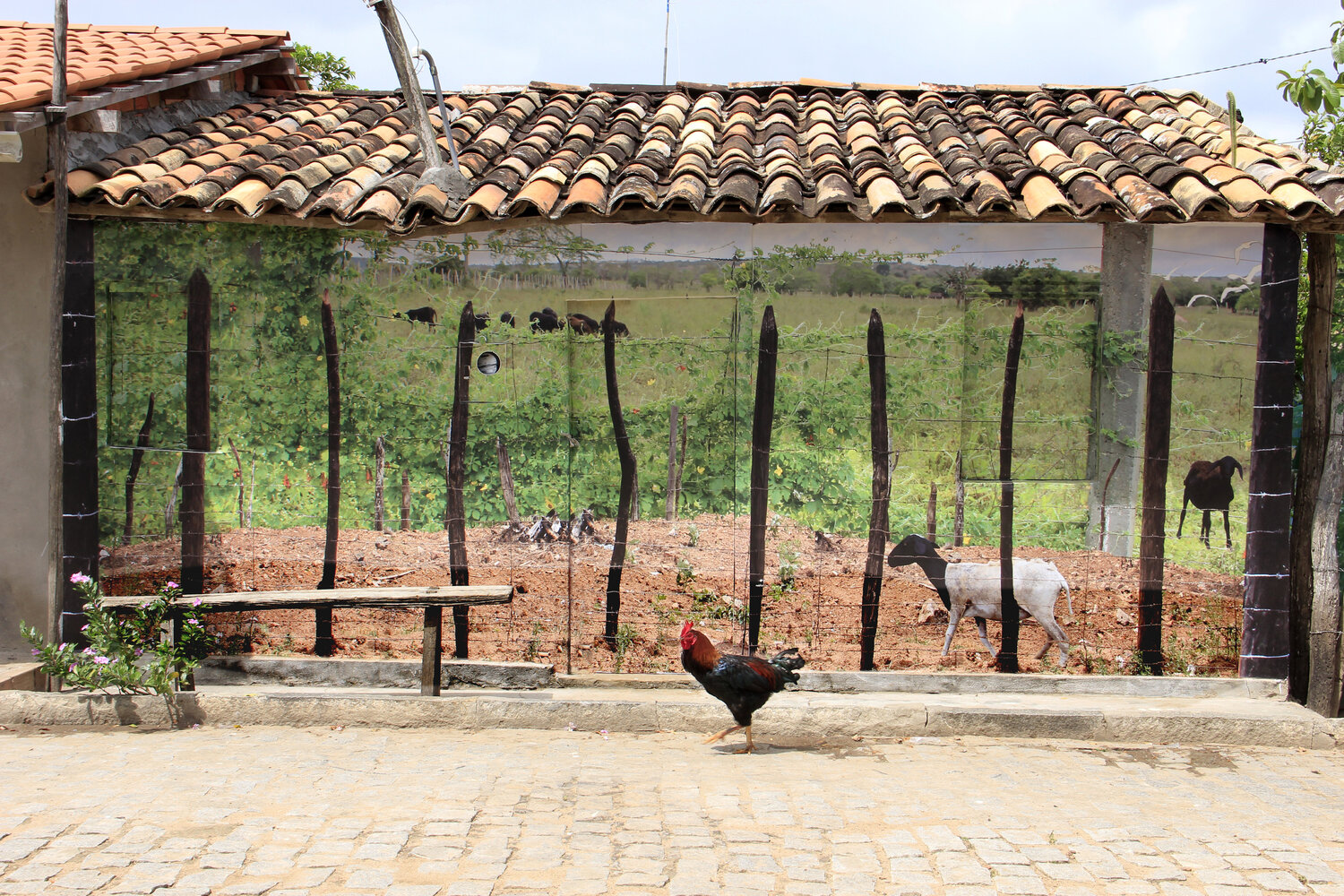 A Casa de dona Piche Maristela Ribeiro