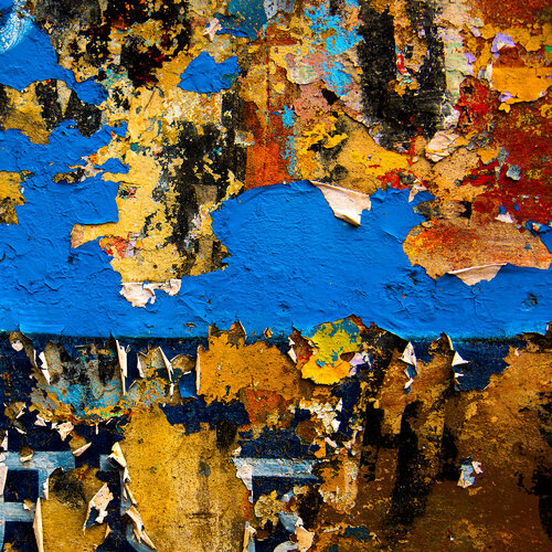 Evolution van CR Shelare, Fotografie te koop op Singulart