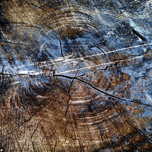 Inner Art - 2 van CR Shelare, Fotografie te koop op Singulart