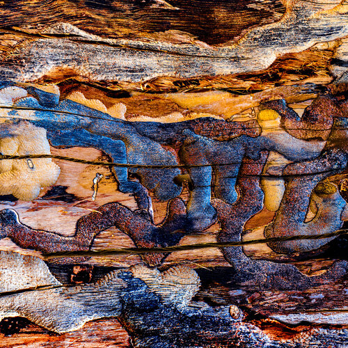 Inside van CR Shelare, Fotografie te koop op Singulart