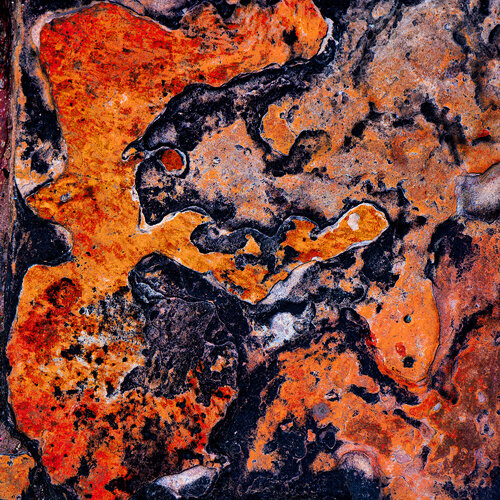 Synopsis van CR Shelare, Fotografie te koop op Singulart