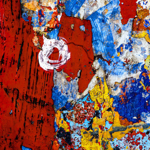 Evolution - 2 by CR Shelare, Photography for Sale on Singulart