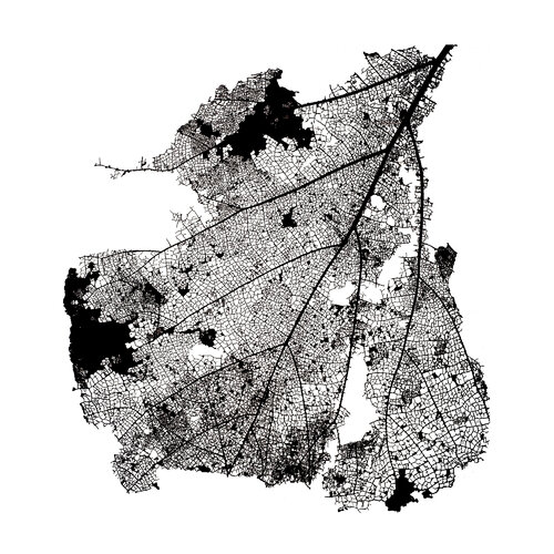 Inner lines van CR Shelare, Fotografie te koop op Singulart