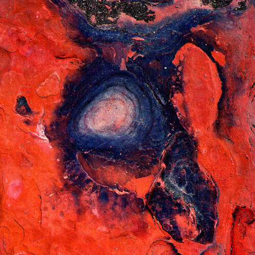 Red van CR Shelare, Fotografie te koop op Singulart