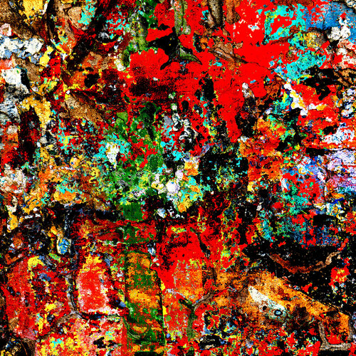 Ruckus of creation - 2 van CR Shelare, Fotografie te koop op Singulart