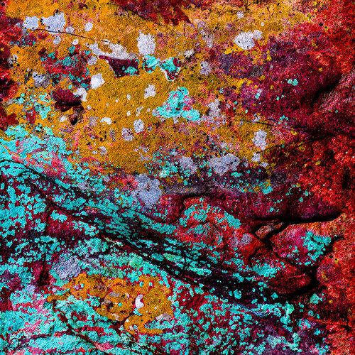 Innate Abstraction - 4 by CR Shelare, Photography for Sale on Singulart