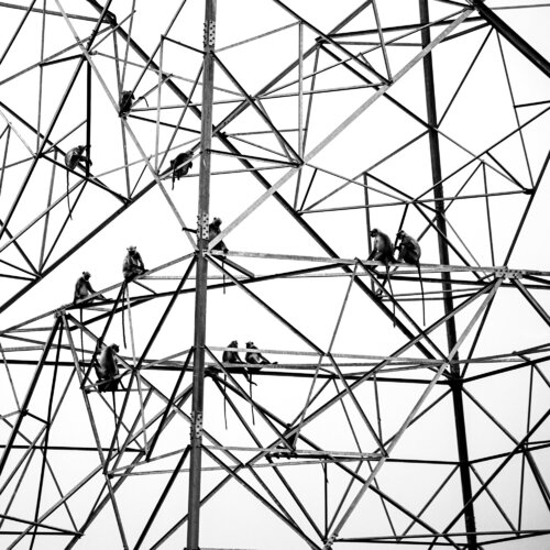 Geometry and life van CR Shelare, Fotografie te koop op Singulart