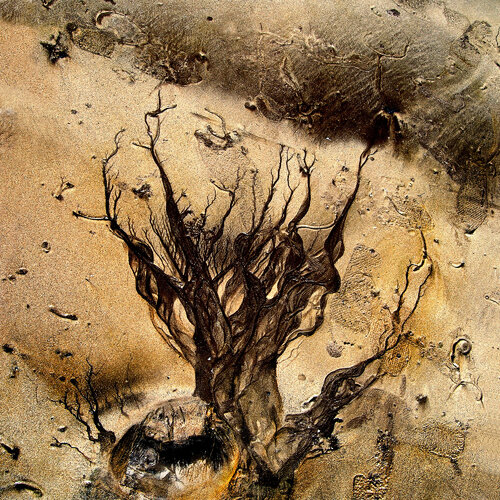 Sandscape - 5 van CR Shelare, Fotografie te koop op Singulart