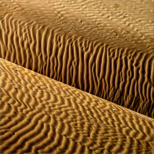 Sandscape - 1 by CR Shelare, Photography for Sale on Singulart