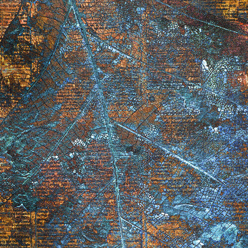 Impression van CR Shelare, Fotografie te koop op Singulart