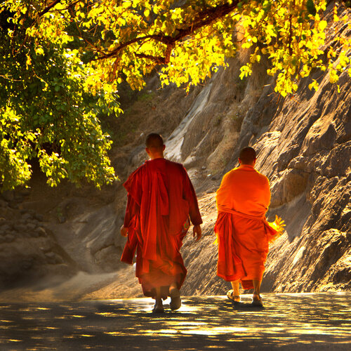 Buddhist Monk von CR Shelare, Fotografie kaufen auf Singulart