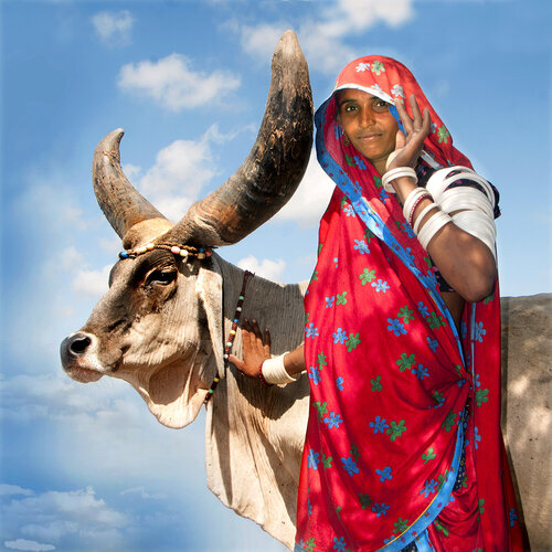 Indian beauty de CR Shelare, Fotografía a la venta en Singulart