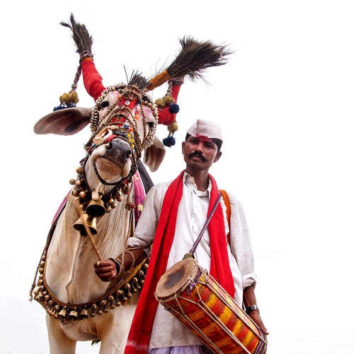 Nandiwala di CR Shelare, Fotografia in vendita su Singulart