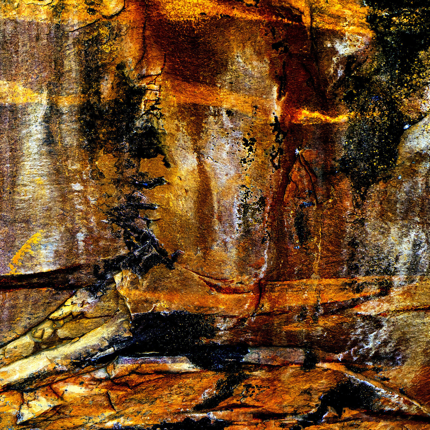 Ruckus of creation CR Shelare