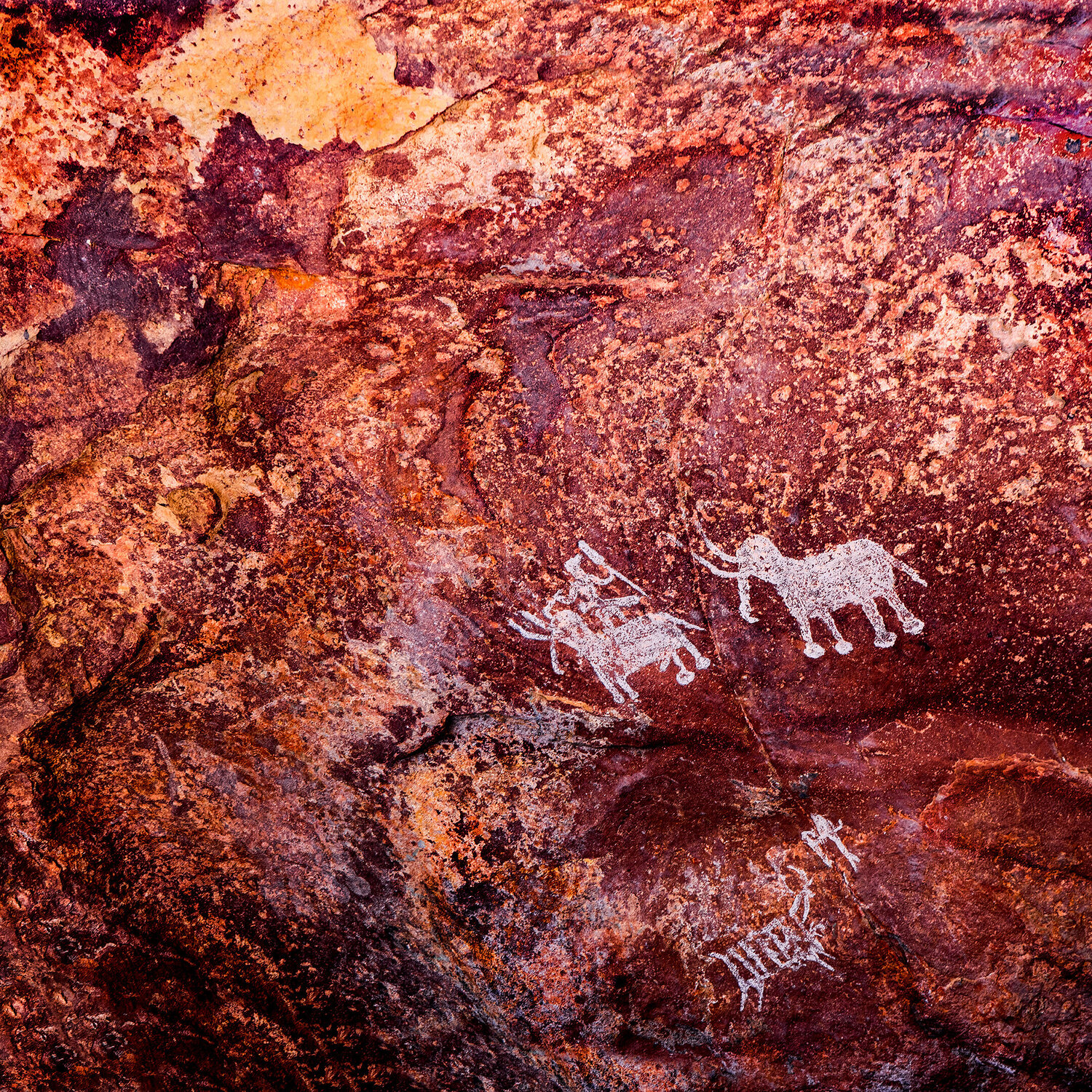 Paleolithic Art CR Shelare