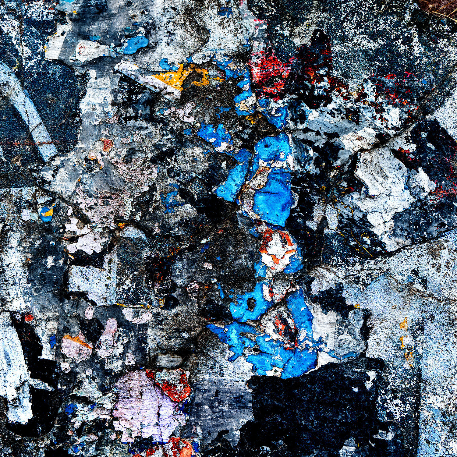 Abstract Expression CR Shelare