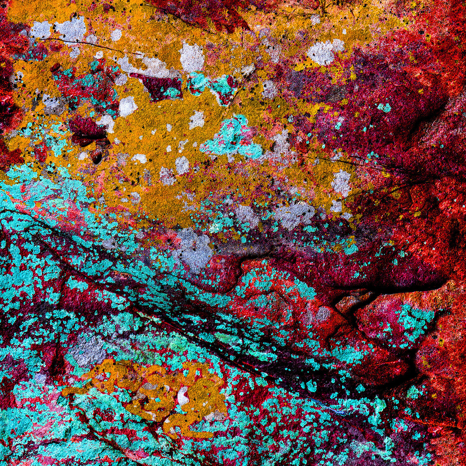Innate Abstraction - 4 CR Shelare