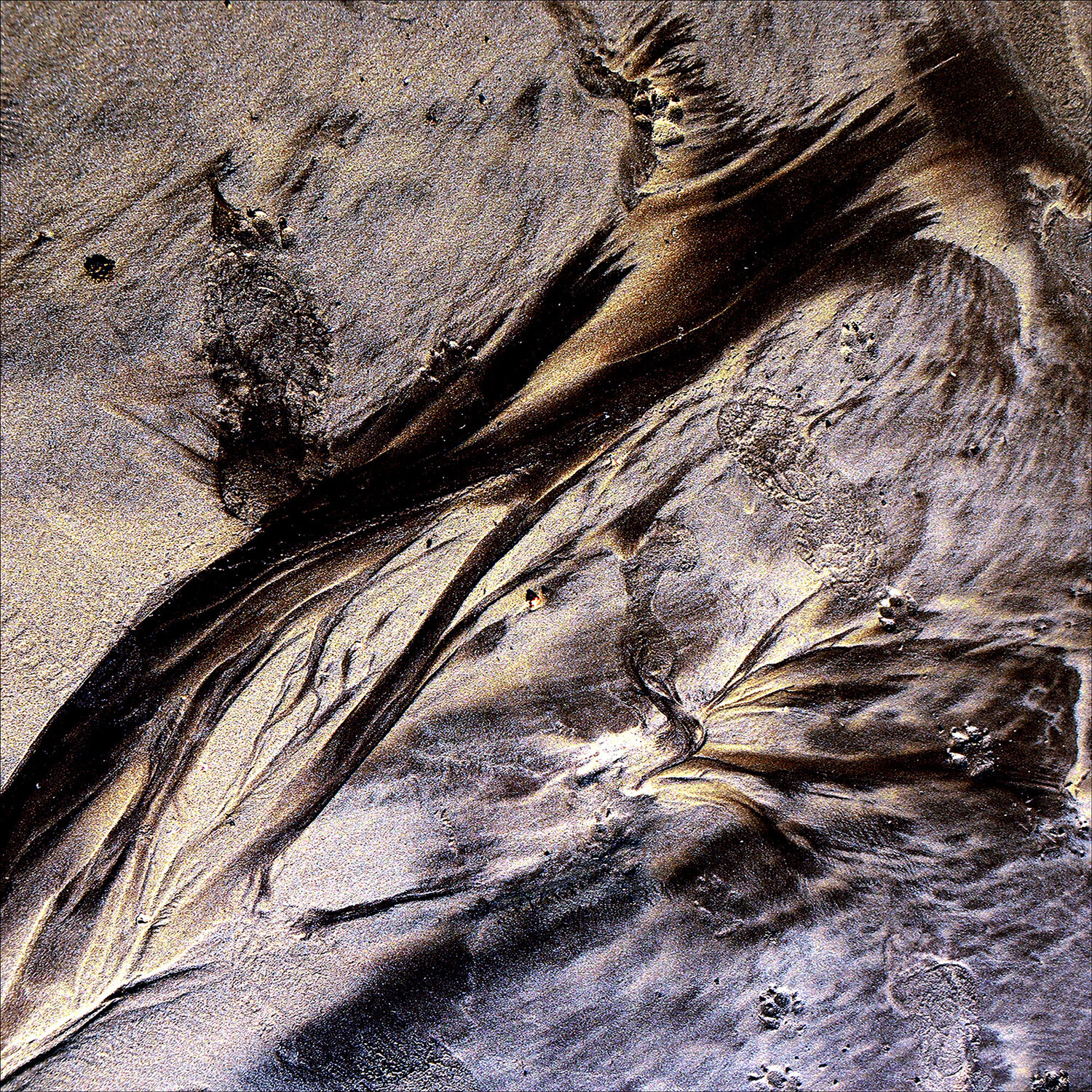Sandscape - 4 CR Shelare