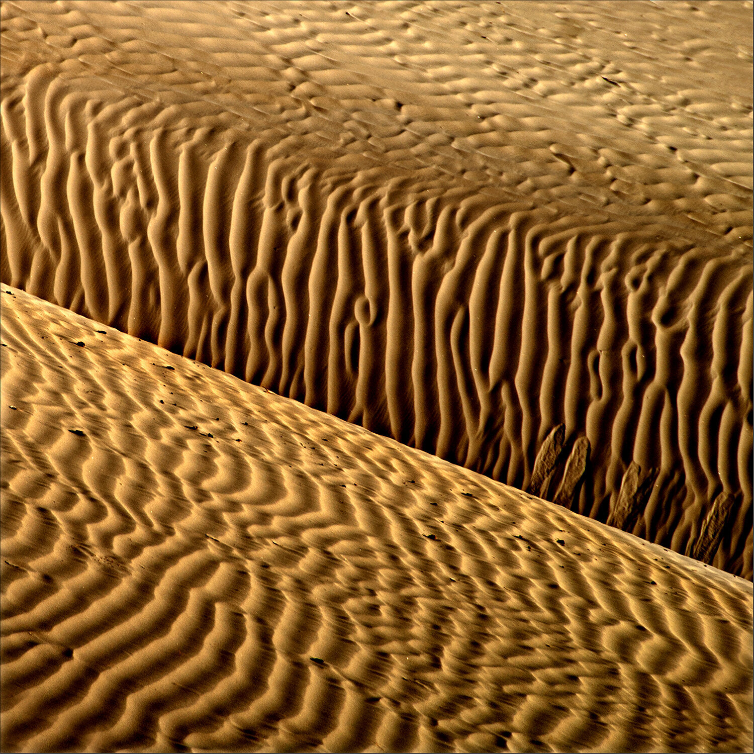 Sandscape - 1 CR Shelare
