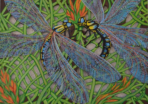 Verliebte Libelen van Davorka Azinovic, Schilderij te koop op Singulart