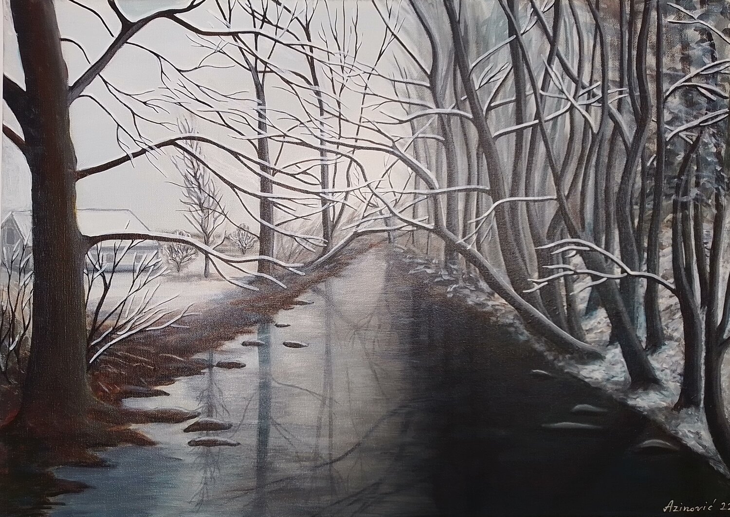 Winter in Isarauen Davorka Azinovic