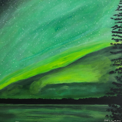 Nordlicht van Ingrid Sellami, Schilderij te koop op Singulart