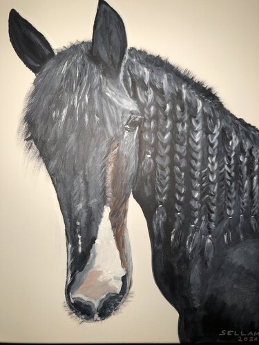 Pferd van Ingrid Sellami, Schilderij te koop op Singulart