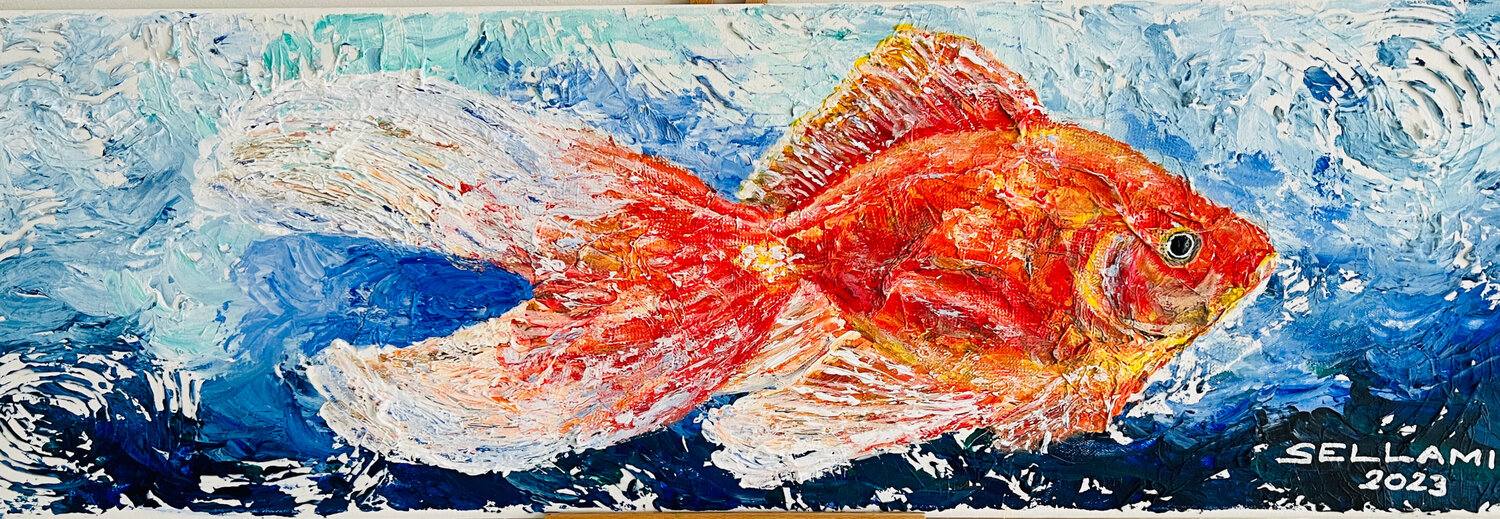 Goldfisch Ingrid Sellami
