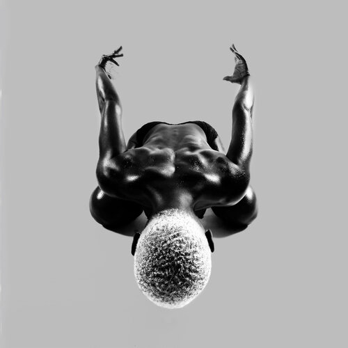 Black bird 1 von FX PELISSIER, Fotografie kaufen auf Singulart