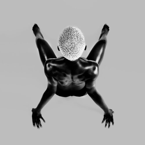 Black bird 3 FX PELISSIER