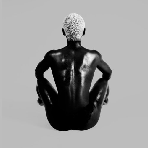 Black bird 2 von FX PELISSIER, Fotografie kaufen auf Singulart