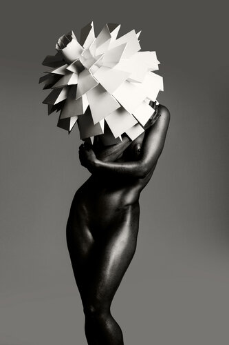 Éclosion Noire I by FX PELISSIER, Photography for Sale on Singulart