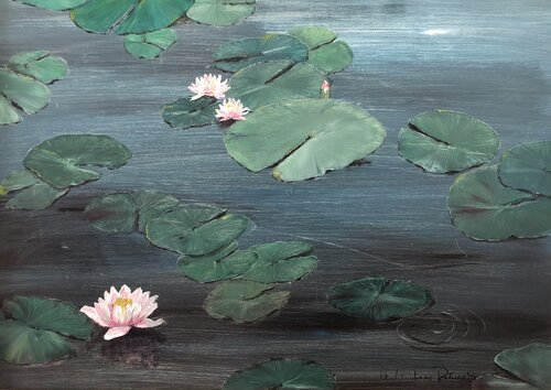 Seerosen di Christa Nienhaus-Rekers, Pittura in vendita su Singulart