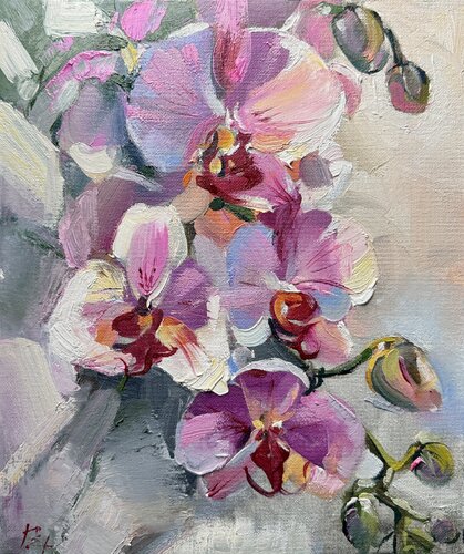 Pink orchid by Elena Hromova, 소묘 for Sale on Singulart