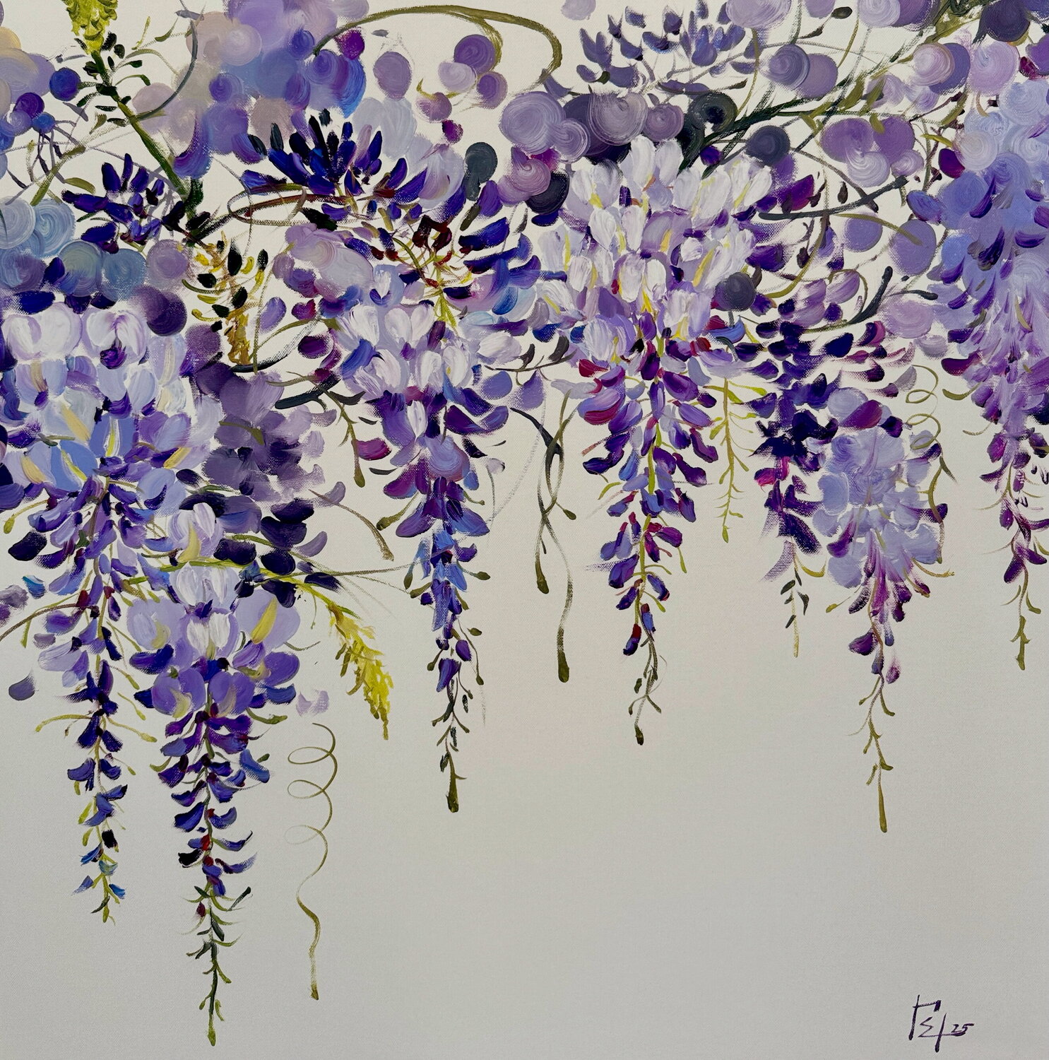 Wisteria Elena Hromova