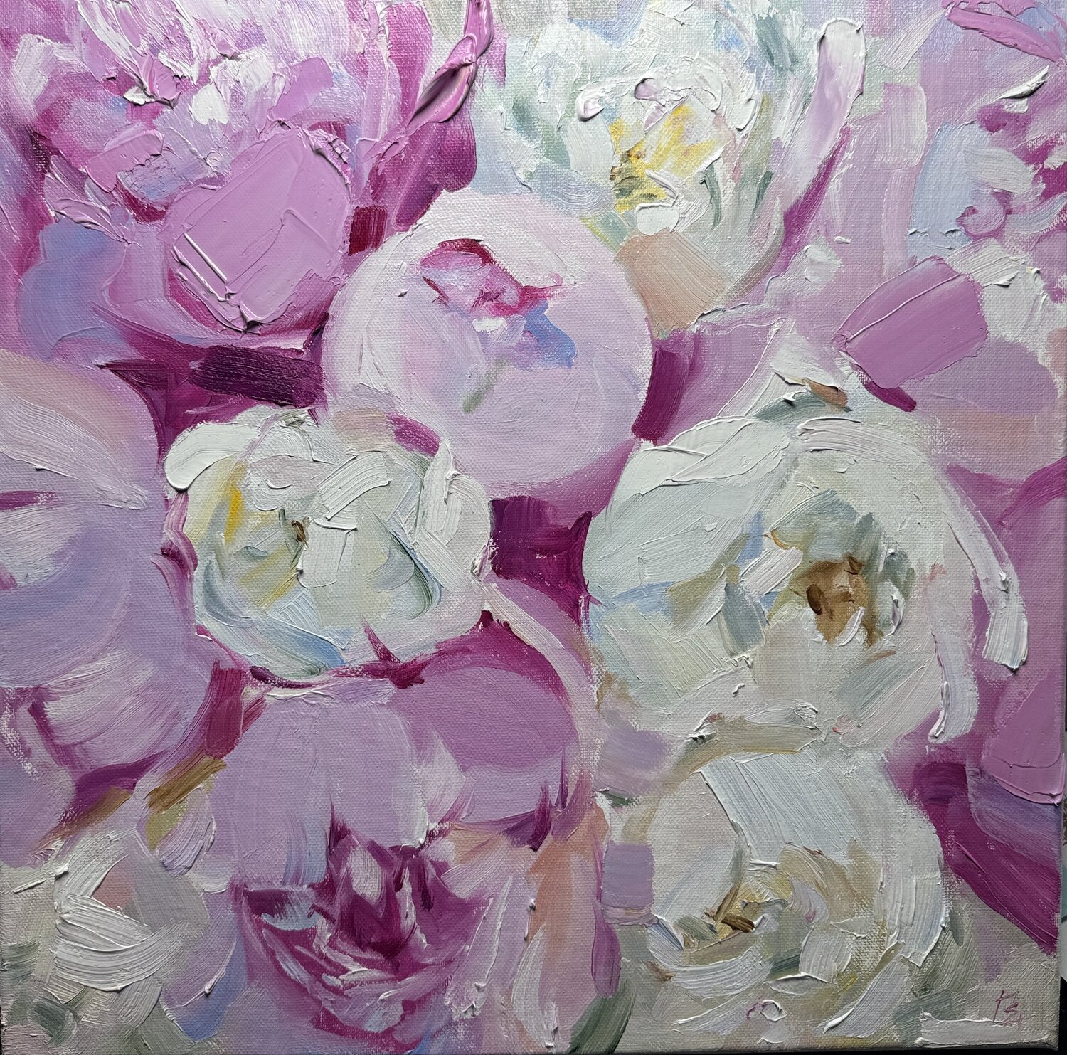 Peonie pink and white Elena Hromova